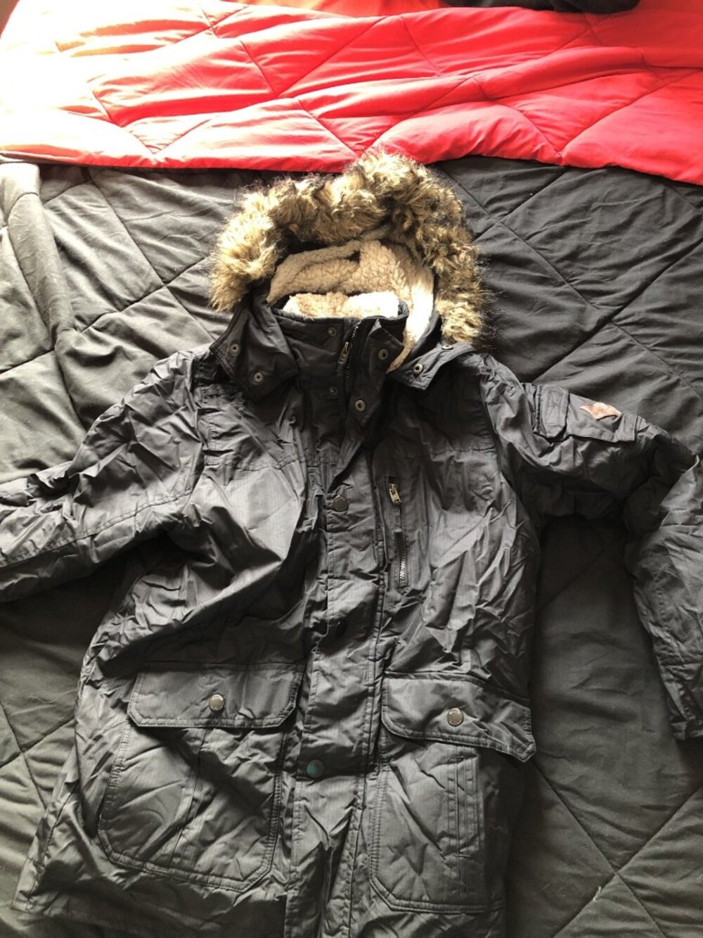 Hollister Parka